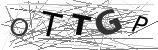 Visual CAPTCHA